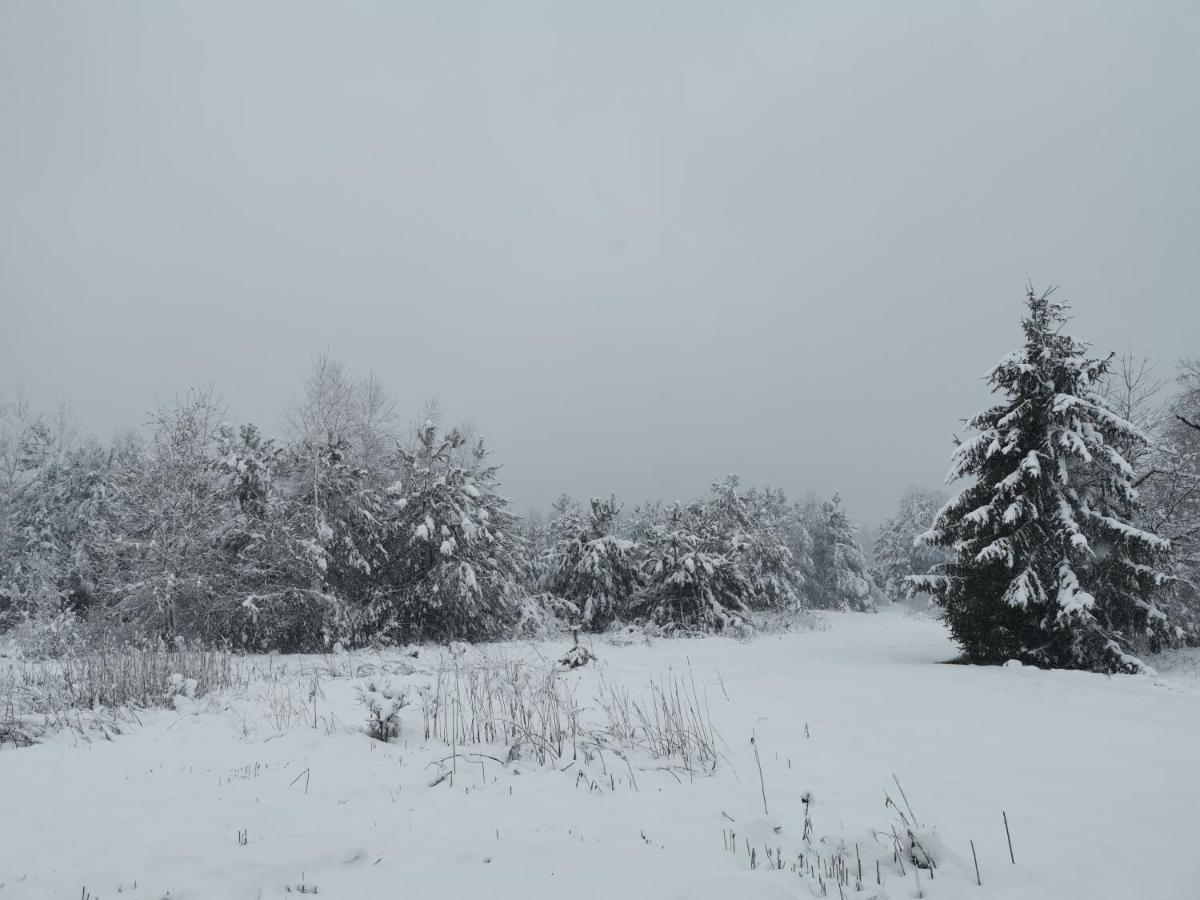 Agrochalupki Lägenhet Korczowa Exteriör bild