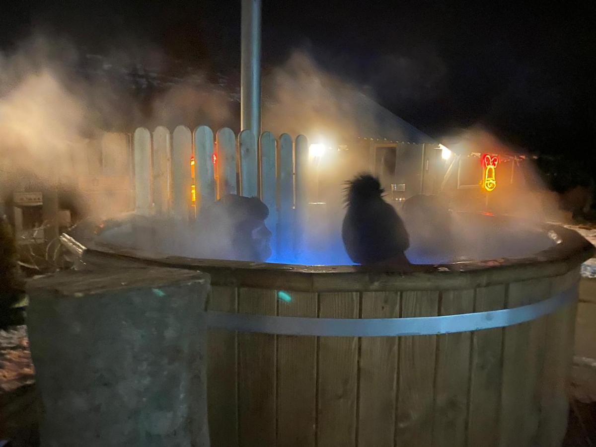 Agrochalupki Lägenhet Korczowa Exteriör bild