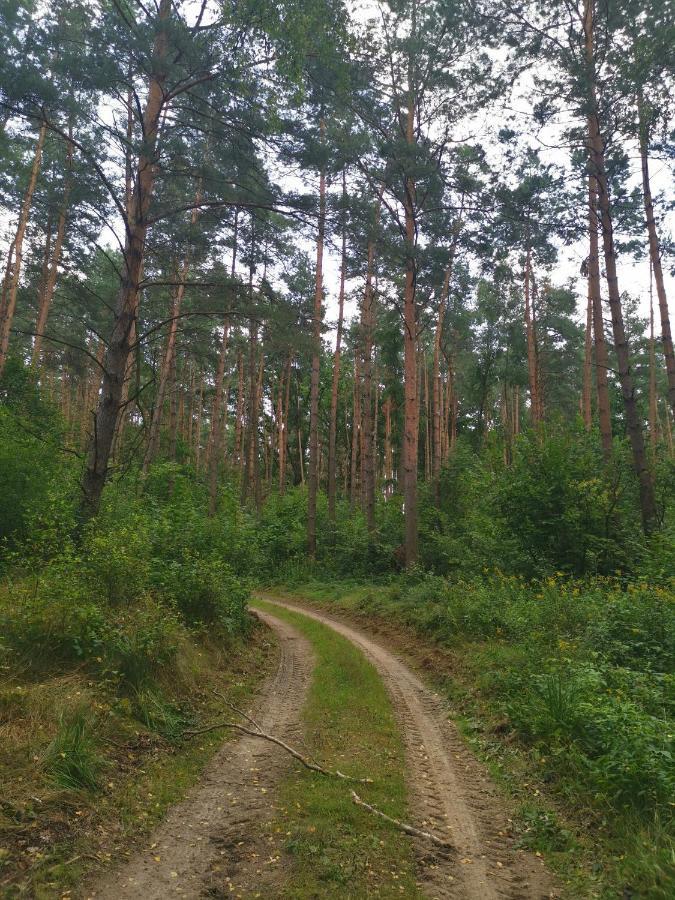 Agrochalupki Lägenhet Korczowa Exteriör bild
